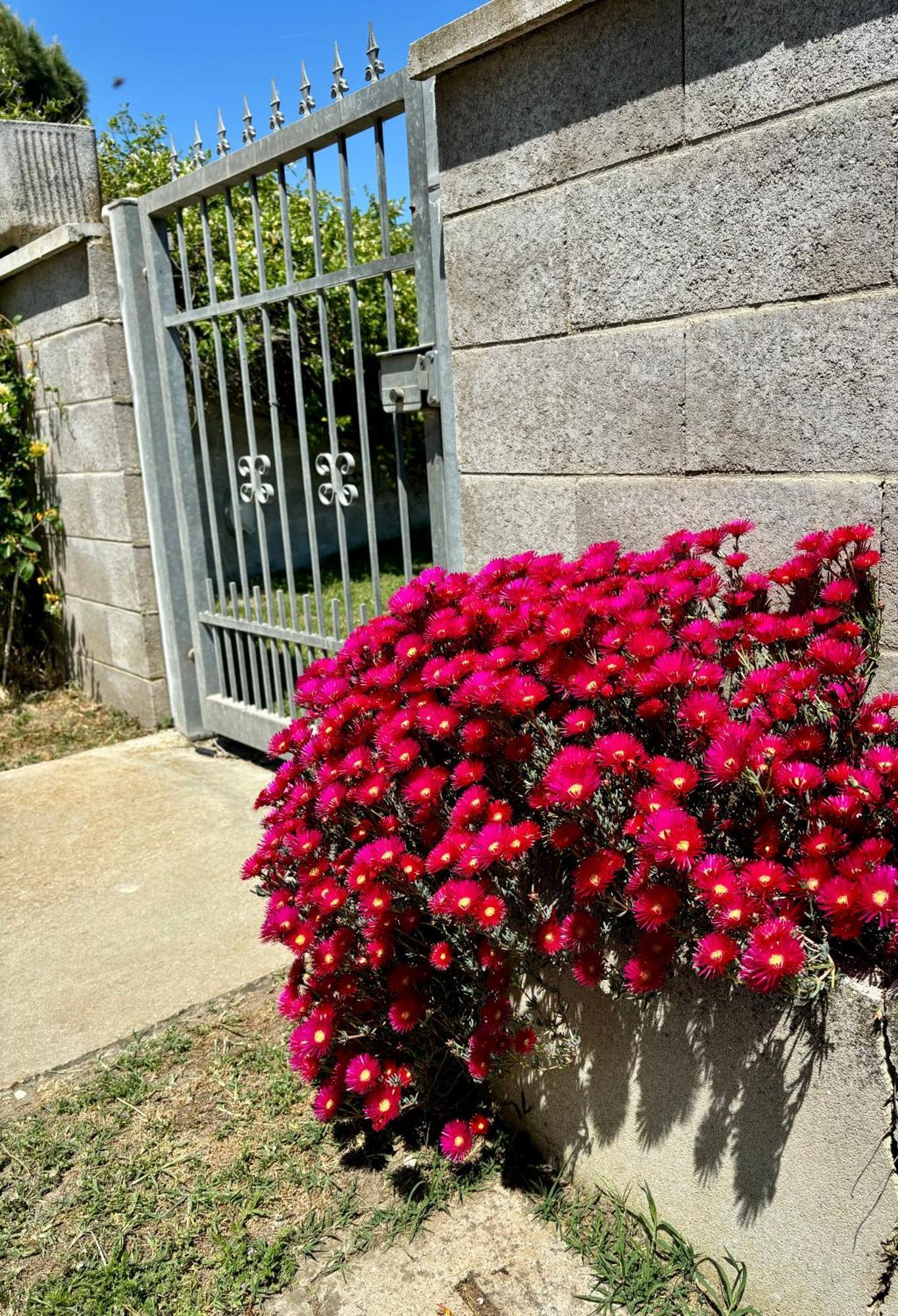Tra Campagna E Mare Bed and Breakfast Lido delle Nazioni Buitenkant foto
